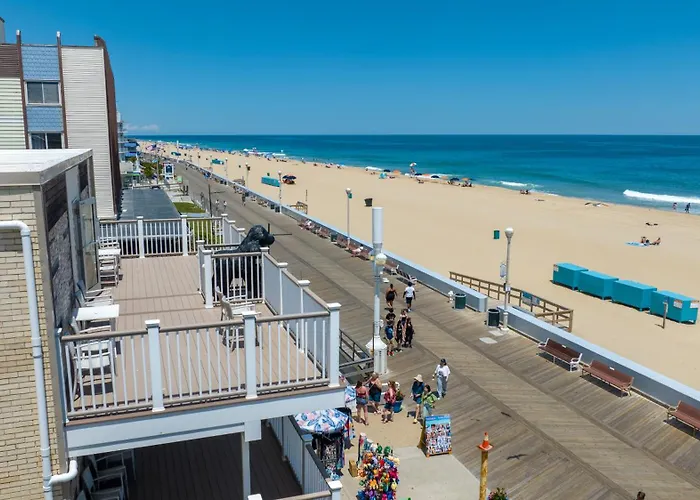 Safari Hotel Boardwalk